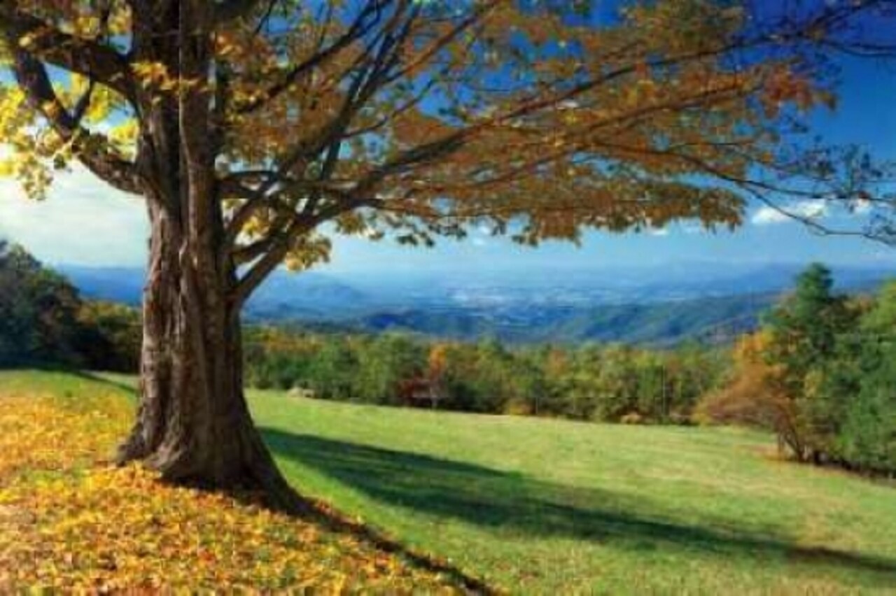 Blue Ridge Beauty Poster Print by Mike Jones - Item # VARPDXJMP316